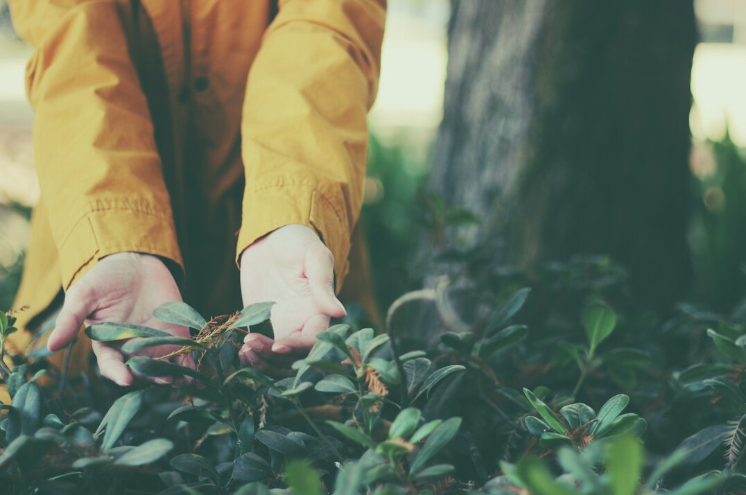 businessman planting tree