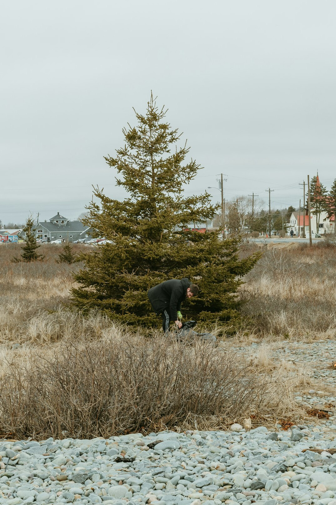 businessman planting tree